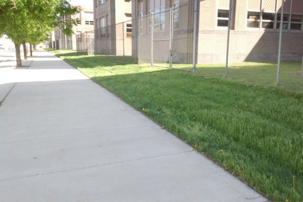 Chicago Vocational Academy sidewalk