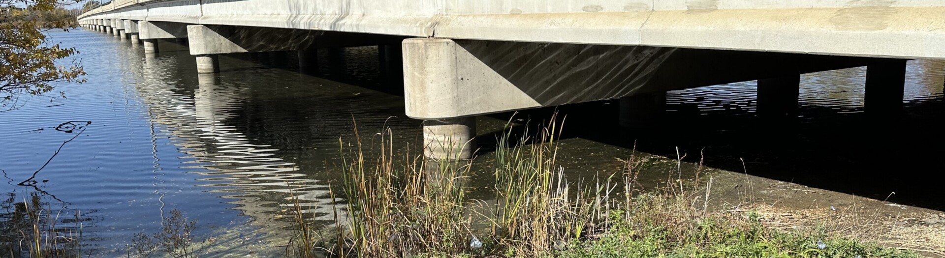 Cook County Department of Transportation and Highways (CCDOTH) Design Engineering Services